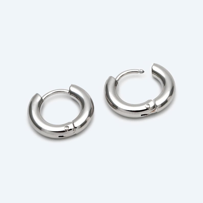 May include: A pair of silver hoop earrings with a hinged closure.