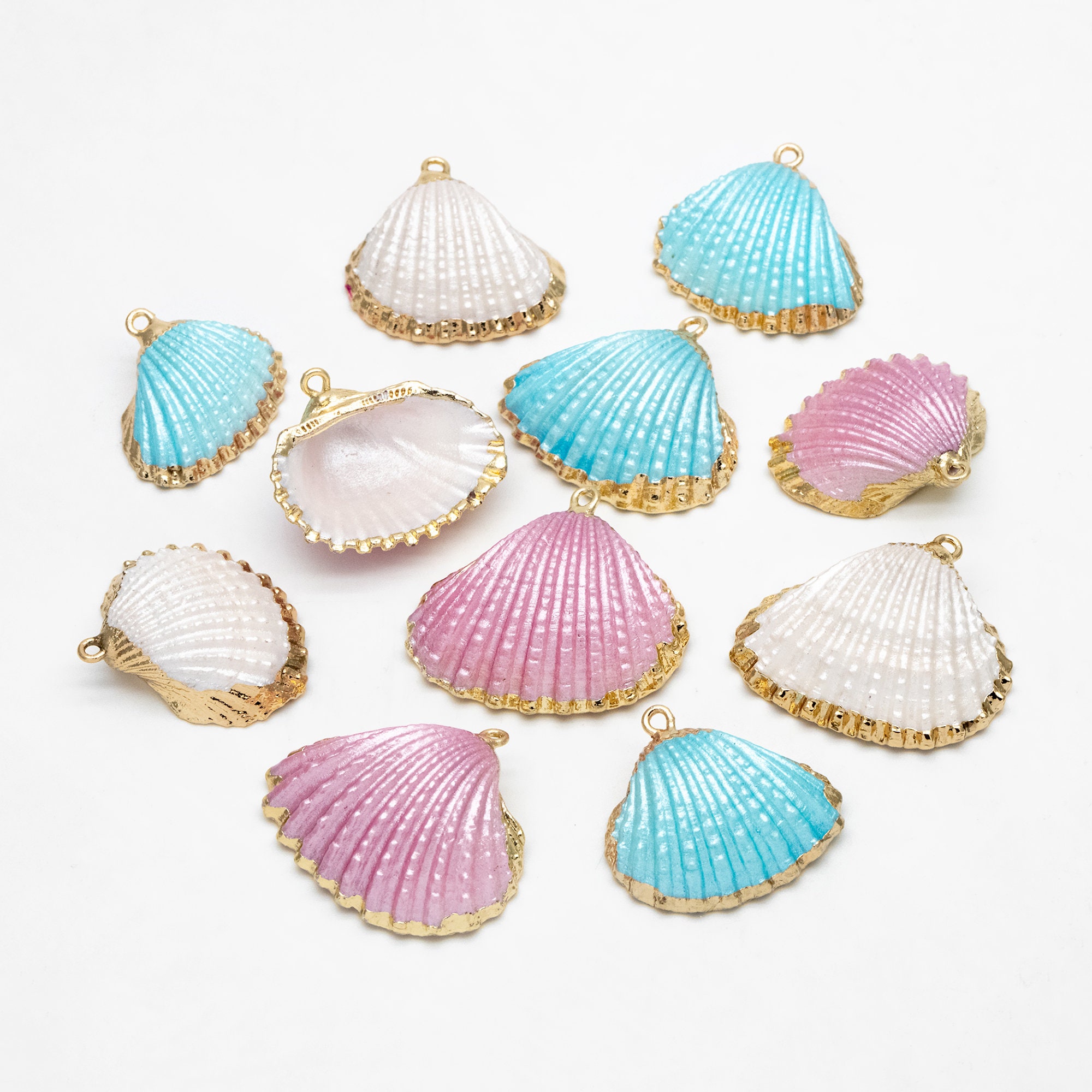 10pcs Natural Shell Charms, Gold Plated Shell Pendants, White/ Aqua ...