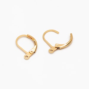 May include: Two gold-toned earring hooks with a lever back closure.