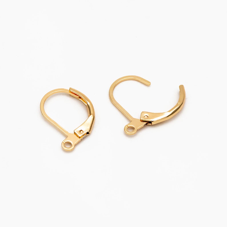 May include: Two gold-toned earring hooks with a lever back closure.