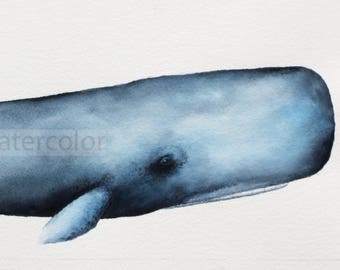 Sperm Whale watercolor-whale art-whale painting- archival print of original-carol sapp-sperm whale art-marine life art-ocean art-shore decor