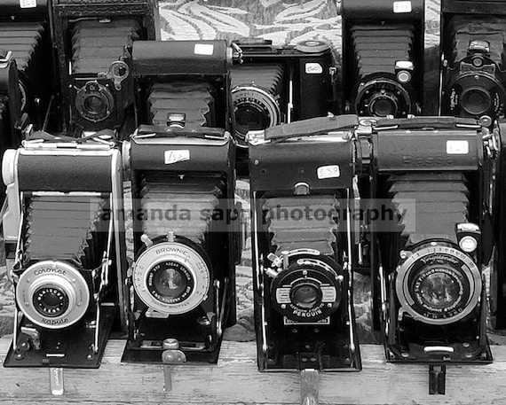 Vintage Cameras Black and White Photograph