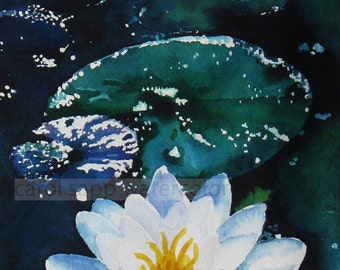 water lily painting-moonlight painting-waterlily art-waterlily watercolor-flower painting-flower art-botanical print-botanical painting