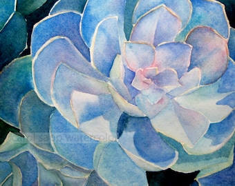 succulent watercolor-succulent painting-botanical watercolor-botanical painting-botanical art-plant watercolor