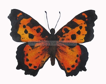 orange butterfly watercolor butterfly archival print of original 5" x 7" watercolor painting