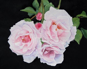 Puede incluir: Una pintura de acuarela de tres rosas rosadas con hojas verdes sobre un fondo negro.
