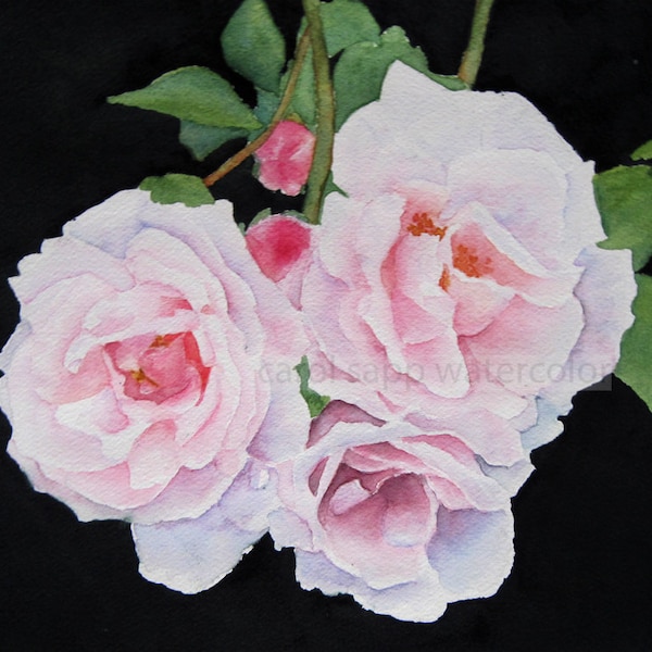pink roses watercolor-roses painting-rose art-flower watercolor-flower painting-fine art print-botanical art-botanical painting-garden art