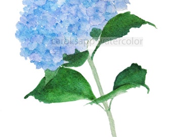 blue hydrangea watercolor-blue hydrangea painting-flower painting-archival print-flower watercolor-botanical watercolor-botanical painting