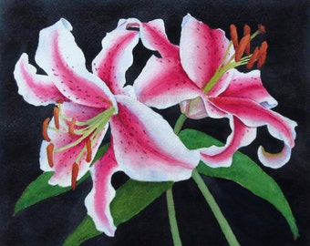 stargazer lilies watercolor-lily painting-botanical watercolor-botanical painting-lilies watercolor-flower watercolor-flower art