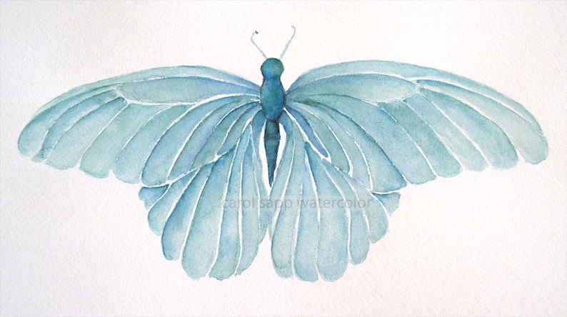 turquoise blue butterfly archival print of watercolor painting image 1