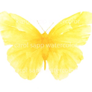 yellow butterfly watercolor archival print of painting