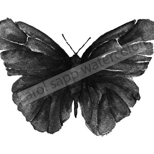 schwarzer schmetterling-aquarell-schwarzer schmetterling kunst-schwarzer schmetterling malerei