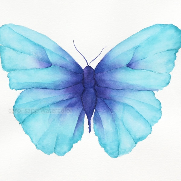 blue turquoise butterfly giclee archival print by Carol Sapp