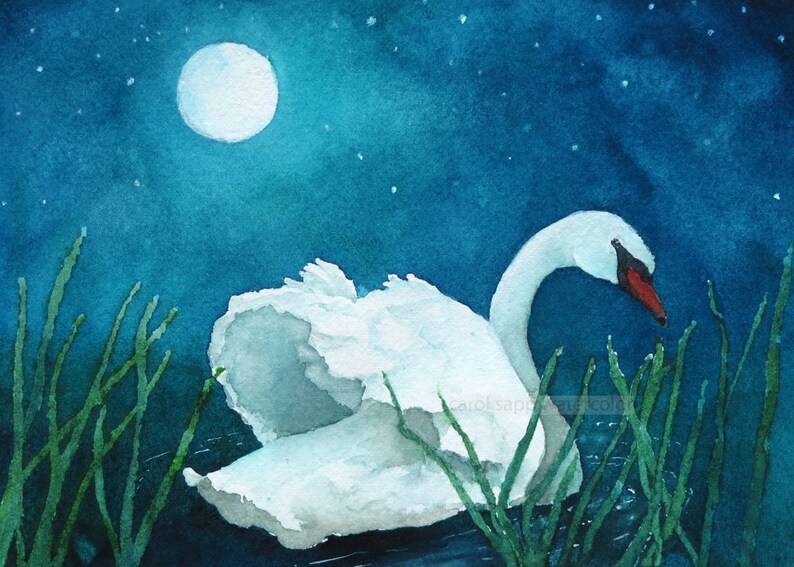 Swans By Moonlight >> Moonlight Swan Watercolor Print Etsy Swans By Moonlight >> Moonlight Swan Watercolor Print Etsy