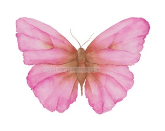 Pink Butterfly giclee print