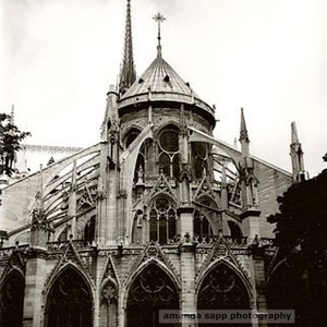Notre Dame Paris photography