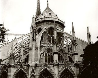 Notre Dame Paris photography