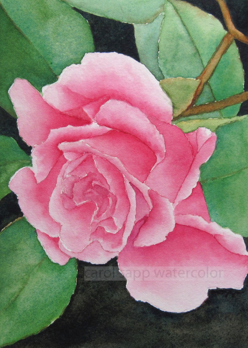 rose watercolor-rose painting-botanical watercolor-botanical painting-flower watercolor-flower art-pink rose painting-pink rose watercolor image 1