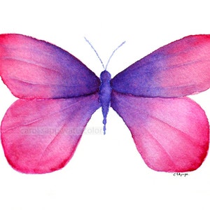 pink butterfly painting-pink purple butterfly-butterfly art-butterfly watercolor-original butterfly painting-archival print-pink butterfly