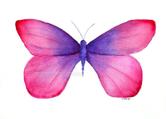 Pink and Purple Butterfly Pink and Purple Butterfly