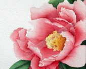 peony watercolor-rose peony painting-pink peony painting-botanical watercolor-botanical painting-flower painting-tree peony painting