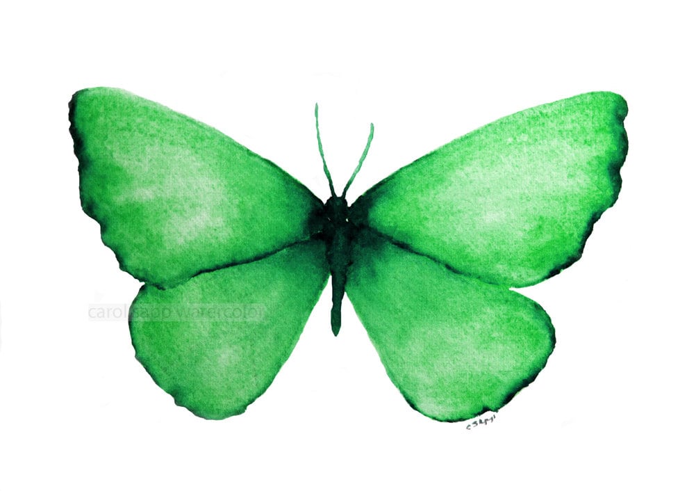 Emerald Green Butterfly Archival 5 X 7 Print of Watercolor Painting Etsy