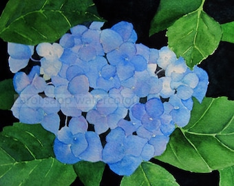 blue hydrangea watercolor-hydrangea painting-hydrangea art-flower watercolor-flower painting-garden painting-botanical art