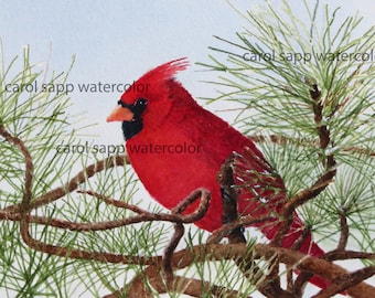 cardinal painting-bird art-bird painting-watercolor archival print-print of original watercolor-garden birds-song birds-winter birds