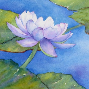 water lily painting-water lily watercolor-lily pond-purple water-lily-botanical art-botanical watercolor-botanical painting-water lily art