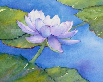 water lily painting-water lily watercolor-lily pond-purple water-lily-botanical art-botanical watercolor-botanical painting-water lily art