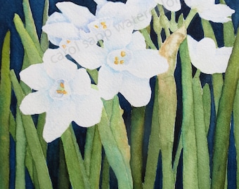 paperwhites watercolor-paperwhites painting- flower painting-archival print-white flowers painting-narcissus painting-narcissus watercolor