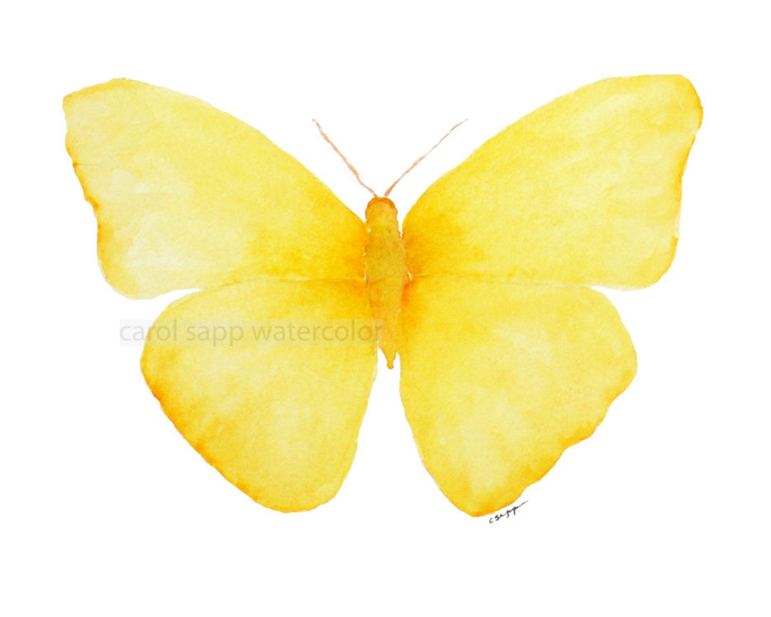 Pintura de mariposa amarilla-mariposa amarilla acuarela-arte de mariposa  amarilla - Etsy México
