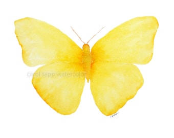 yellow butterfly painting-yellow butterfly watercolor-yellow butterfly art