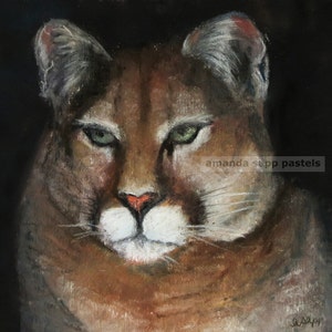 Cougar pastel painting- cougar art- archival print of original-wildlife painting-wildlife art-wildcat painting-puma-mountain lion