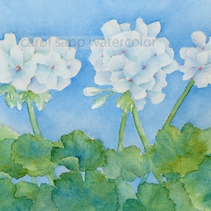 white geraniums watercolor-geraniums painting-flower painting-flower art-garden painting-flower watercolor-botanical art-fine art print
