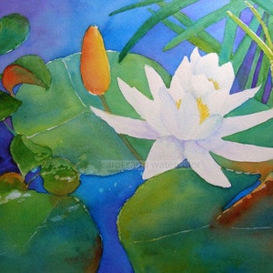 water lily watercolor-waterlily painting-white waterlily-flower painting-water lily pond-flower watercolor-fine art print-botanical art
