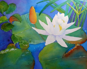 water lily watercolor-waterlily painting-white waterlily-flower painting-water lily pond-flower watercolor-fine art print-botanical art