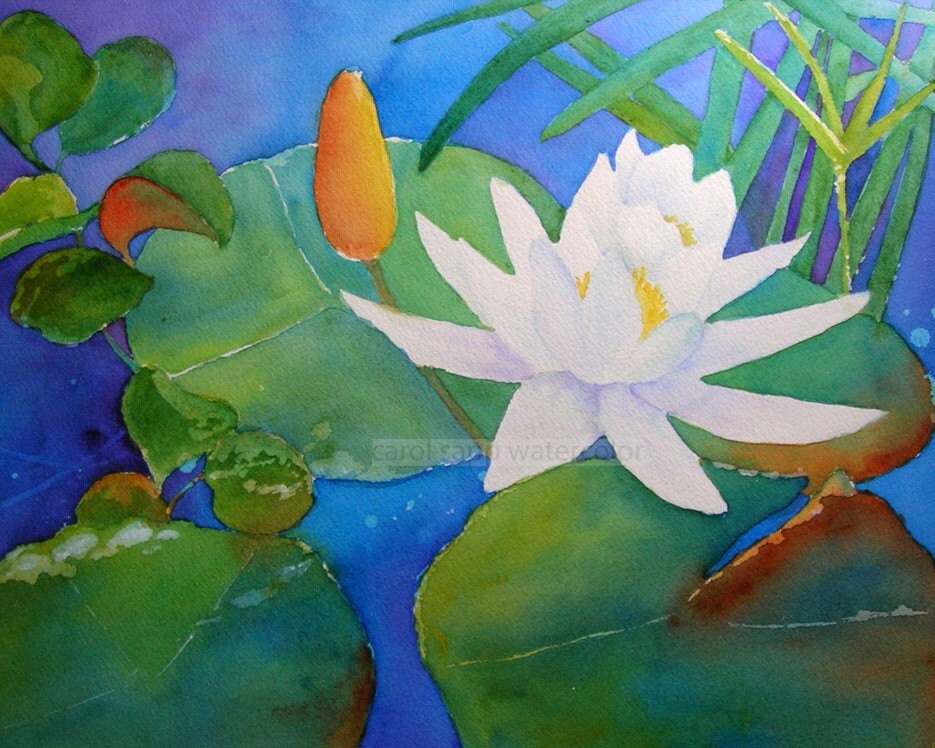 Water Lily Watercolor Waterlily Painting White Etsy India