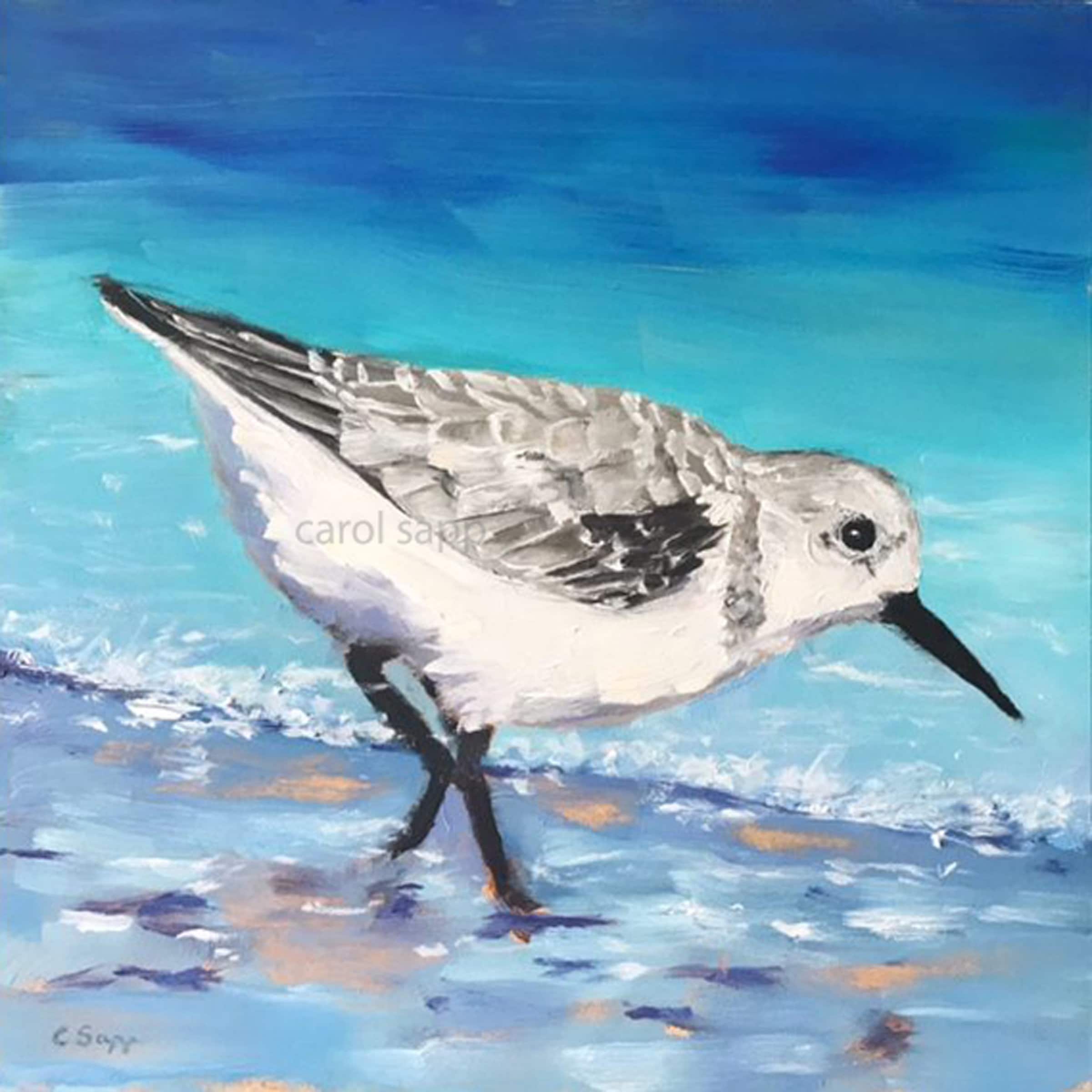 Shore Bird Artsandpiper Paintingarchival Print of Originalshore