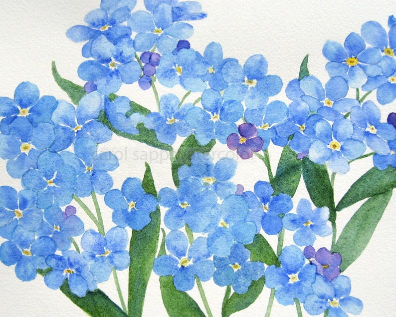 forget me nots watercolor-forget me nots painting-spring flower painting-flower watercolor-flower art-garden painting-floral art image 1