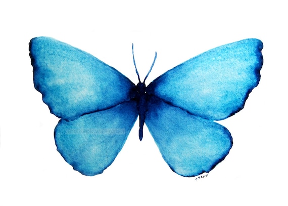 Papillon Morpho bleu - impression aquarelle, jet d’encre aquarelle,  papillon aquarelle, papillon Art, papillon bleu, peinture Blue Butterly