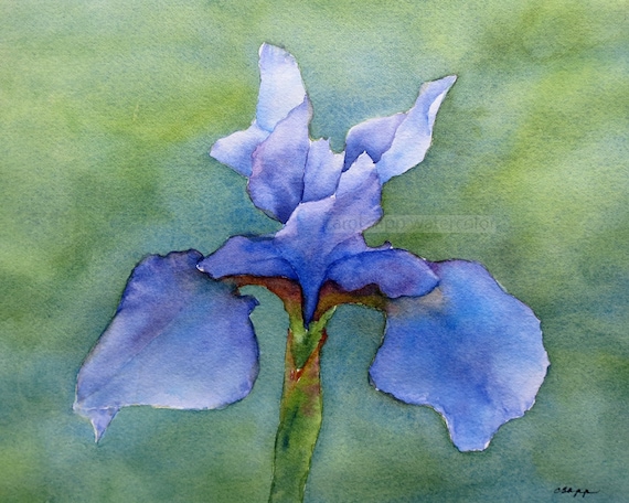 Iris watercolor-iris painting-iris art-blue iris-purple | Etsy