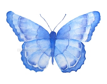 blue butterfly archival 5" x 7" print of watercolor painting