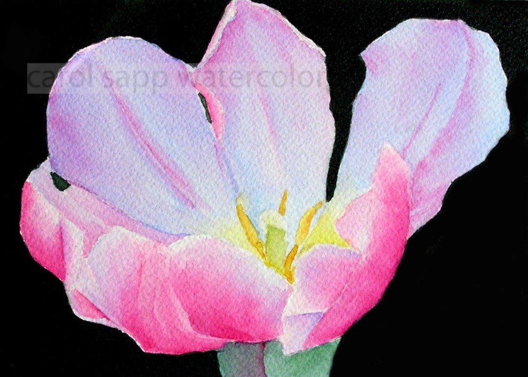 Pink Tulip Watercolor Flower Painting Archival Print 5" X 7" - Etsy