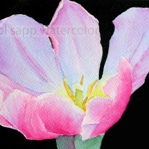 pink tulip watercolor flower painting archival print 5" x 7"