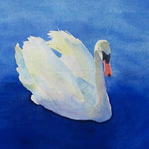 swan watercolor painting archival print 5&quot; x 7&quot;