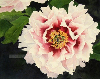 peony watercolor-peony painting-peony art-pink peony-flower watercolor-flower painting-fine art print-botanical waterccolor-botanical art