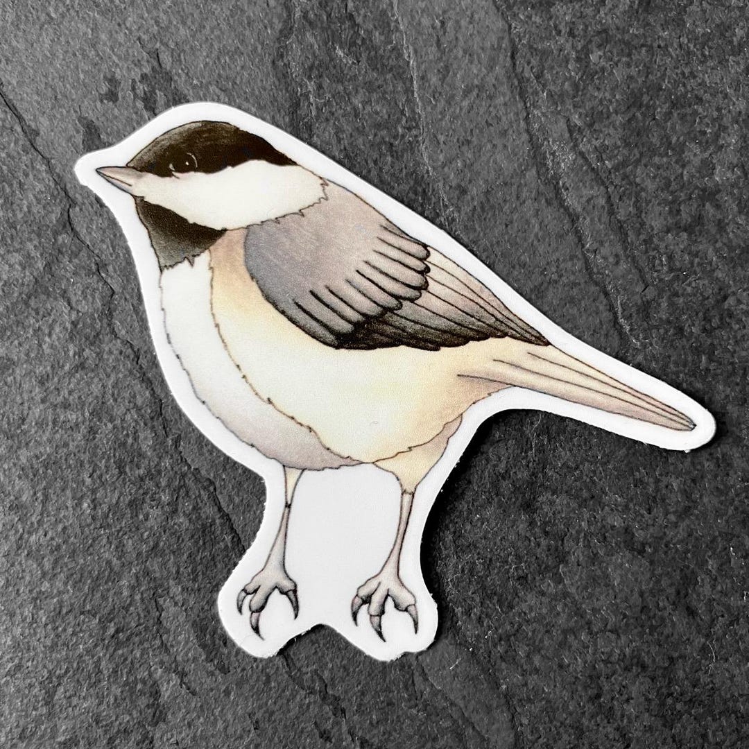 Carolina Chickadee Bird Vinyl Sticker - Weatherproof Matte Finish - Etsy