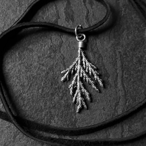 May include: A silver-colored pendant in the shape of a sprig of leaves hangs from a black leather cord. The pendant is detailed with multiple small leaves. The background is a dark gray, textured surface.