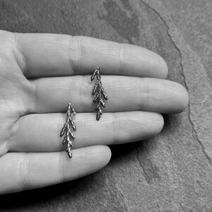 May include: A pair of silver earrings shaped like delicate sprigs of foliage.